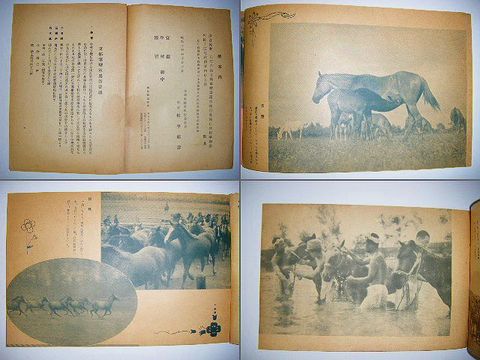 昭和初 戦前 軍事『極秘 軍用 保護 馬 資料３点』 