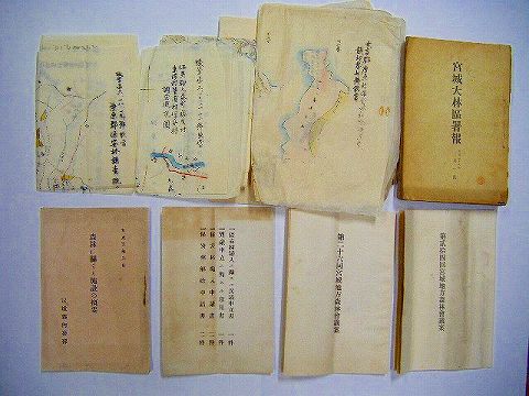 明治 大正 戦前 地図 仙台『宮城 林業 絵図 等関係一括』 