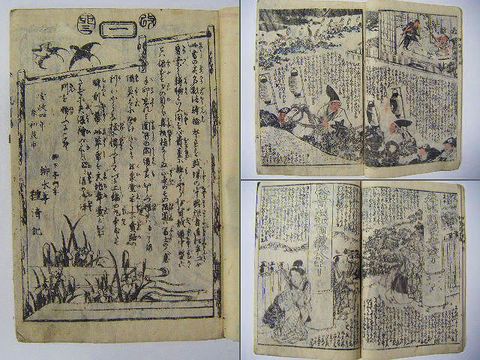 江戸 和本 浮世絵 戯作 種清 芳員『復讐 伊賀 曙全２冊揃』 