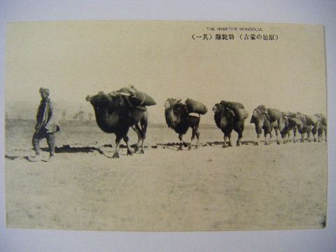 昭和初 写真 風俗 中国『絵葉書 原始の 蒙古 ３点』 
