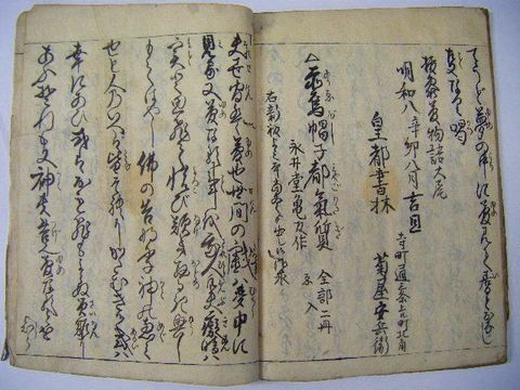 江戸 和本 古文書 戯作 読み物『抜参 夢物語』 