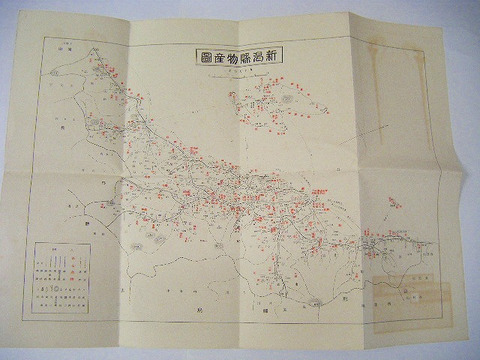 大正　地図　絵図　資料「新潟県　産業　統計　便覧」資料