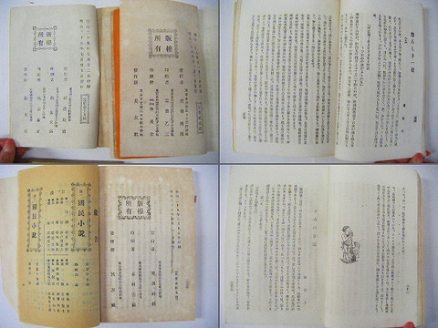 明治　文学　蘆花　天外　水蔭「国民小説　(5)(7)(8) 3冊一括」読み切り