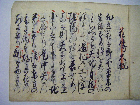 江戸初 享保 古文書 秘伝 花道「花伝大概」