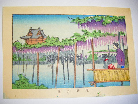 浮世絵 美術 井上 探景 安治「東京 真画 名所 図解 亀井戸藤」彩色 木版画 錦絵 ukiyoe