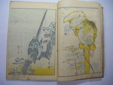 江戸 和本 浮世絵「傳神開手 北斎 画苑 初編 全」彩色 木版画 ukiyoe 絵本