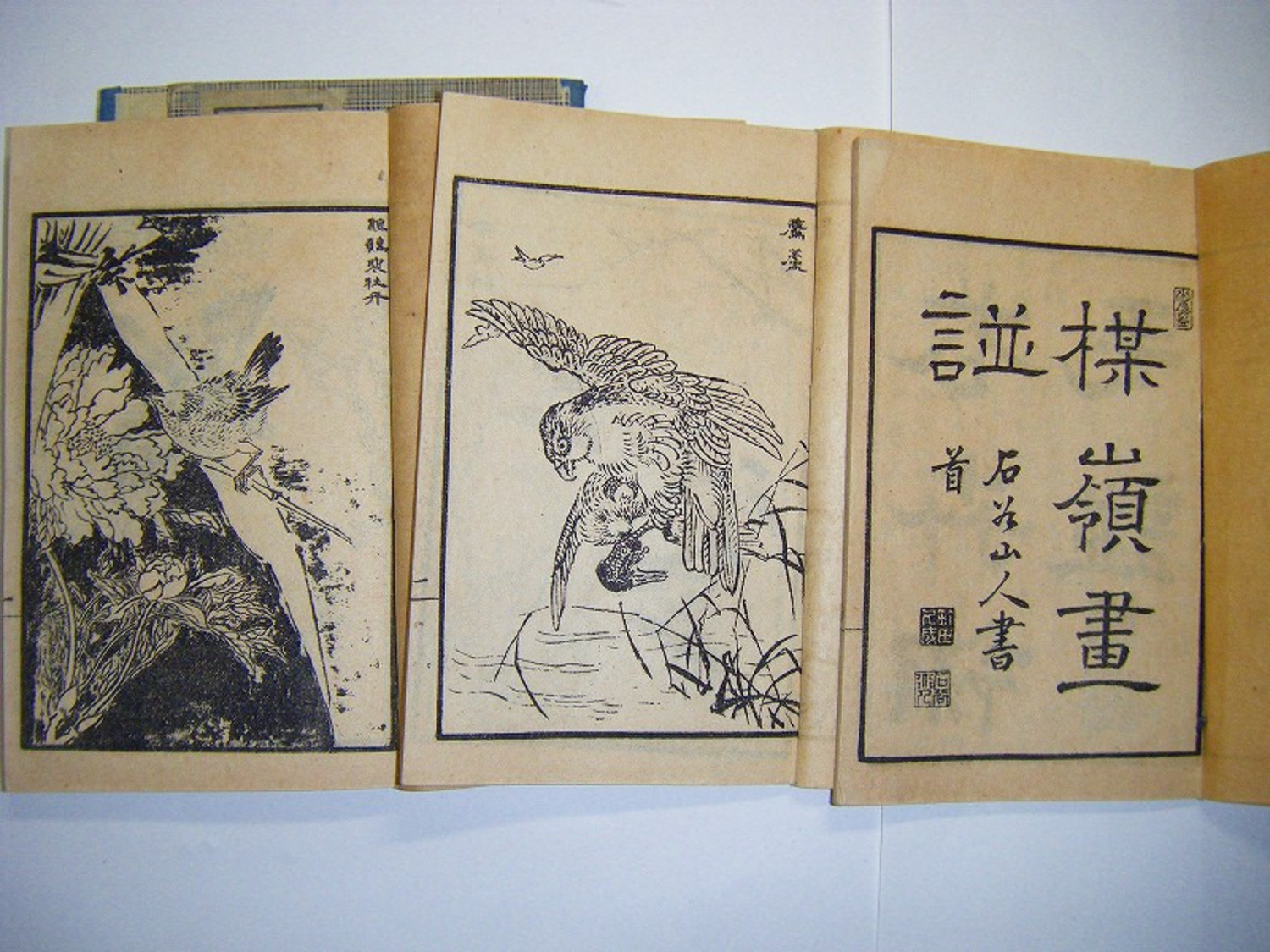 江戸 明治 初期 浮世絵 唐本「楳嶺 百鳥 画譜  3冊揃い」 タトウ付 和本 はよく見るが唐本のものは 稀少 珍品 木版画 絵本