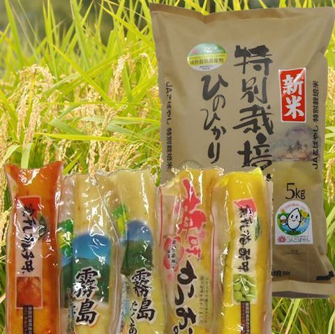 特別栽培米ひのひかり（５ｋｇ）+おつけもの５本セット