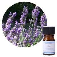 精油オーガニックQueen Mary　ラベンダー（トゥルー）5ml Lavendula True