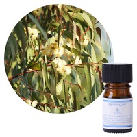 精油オーガニックQueen Mary　ユーカリ グロブルス 5ml  Eucalyptus globules 