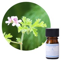 精油オーガニック Queen Mary ゼラニウム 5ml Geranium