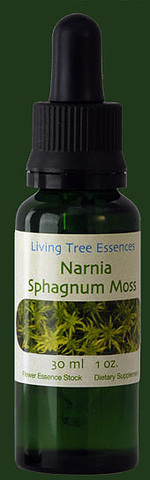 ナルニア　スファグナム　モス　30ml Narnia Sphagnum Moss