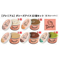 【プレミアム】ダシーズアイス12個セット（5フレーバー）