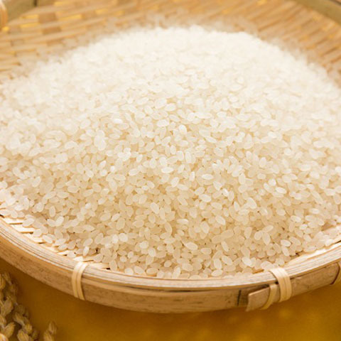 えびの米