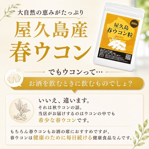 無農薬・有機栽培の100％屋久島産春ウコン ＜ 屋久島物産展（春ウコン