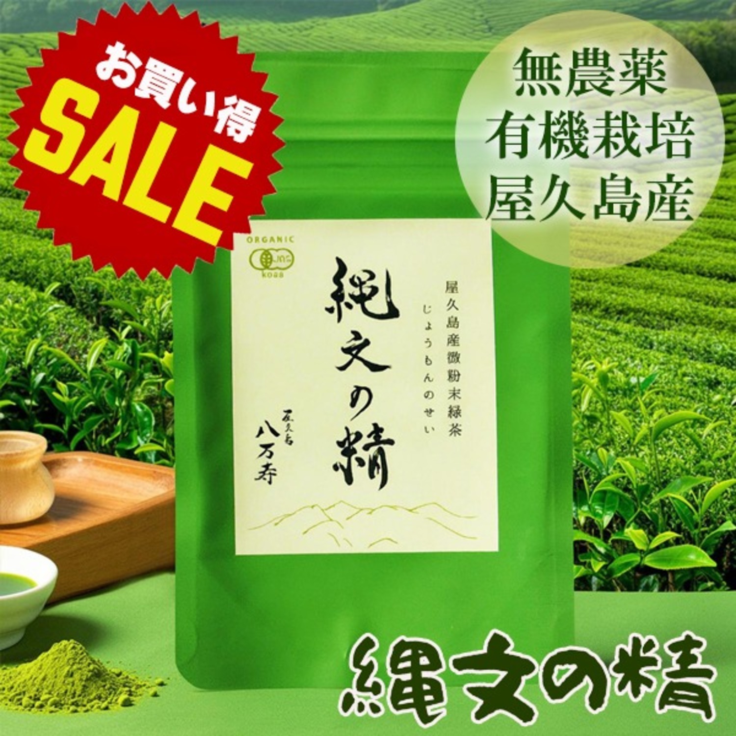 【ラッキーSALE】縄文の精