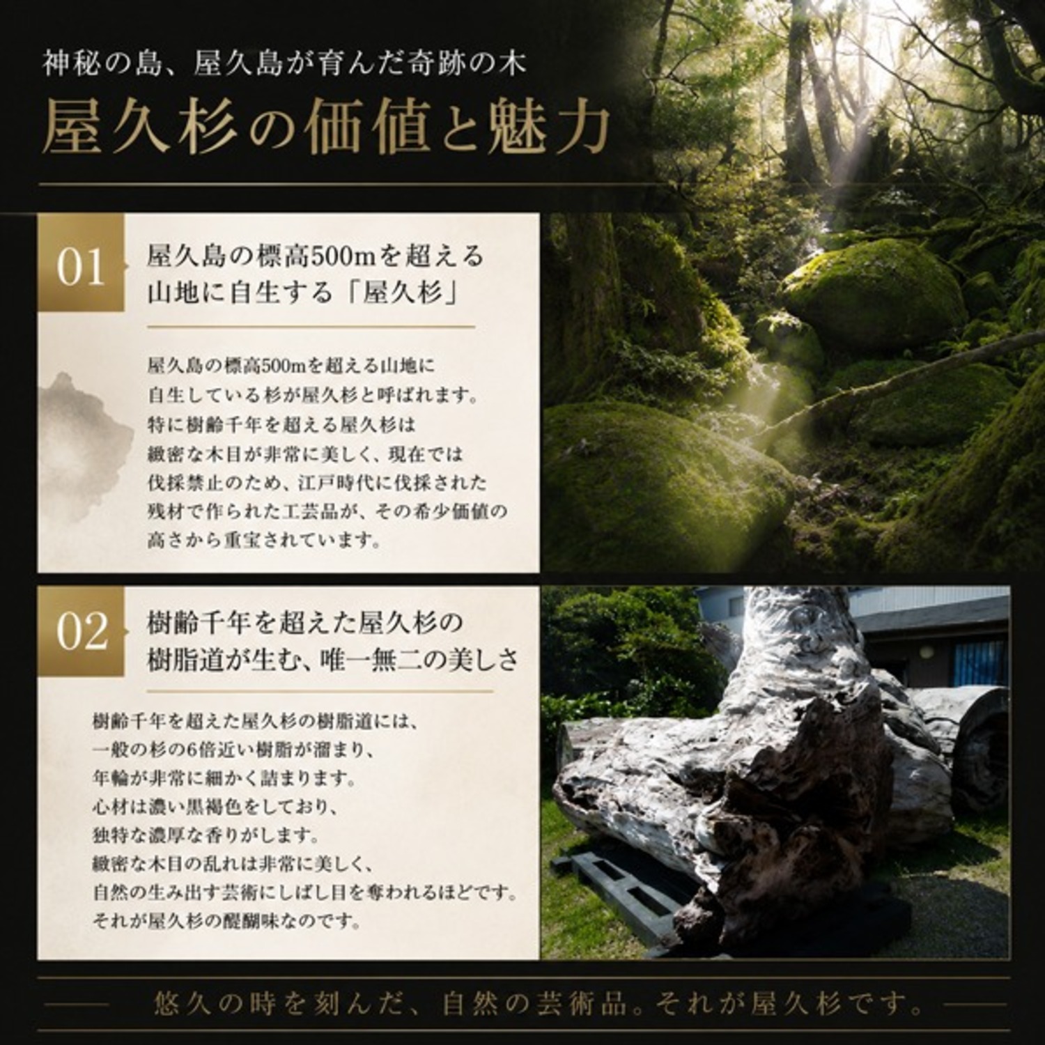高級屋久杉虎杢ボールペン ＜ 屋久島物産展（春ウコンや有機栽培茶など