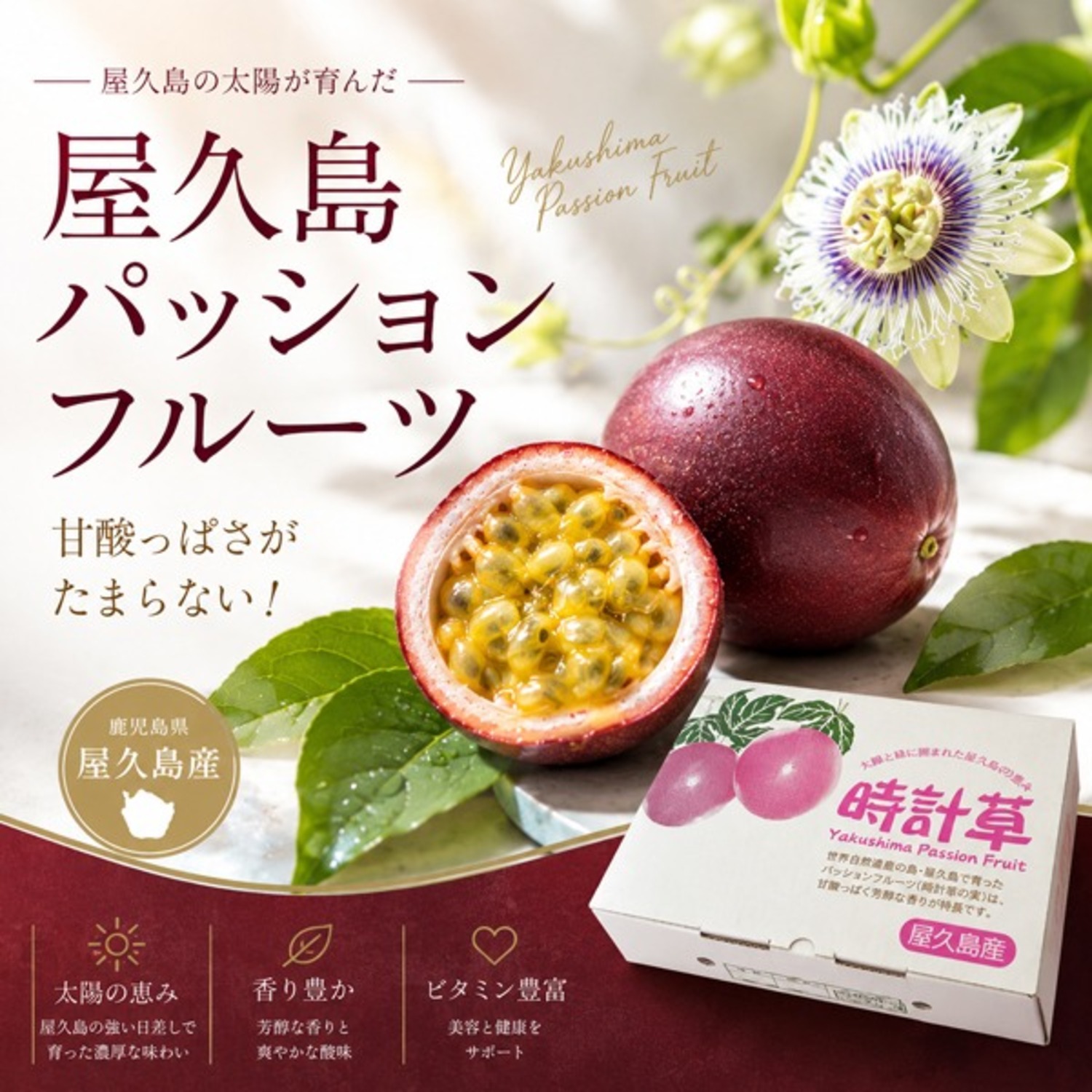 【予約受付中】 屋久島産パッションフルーツ Lサイズ12玉入り