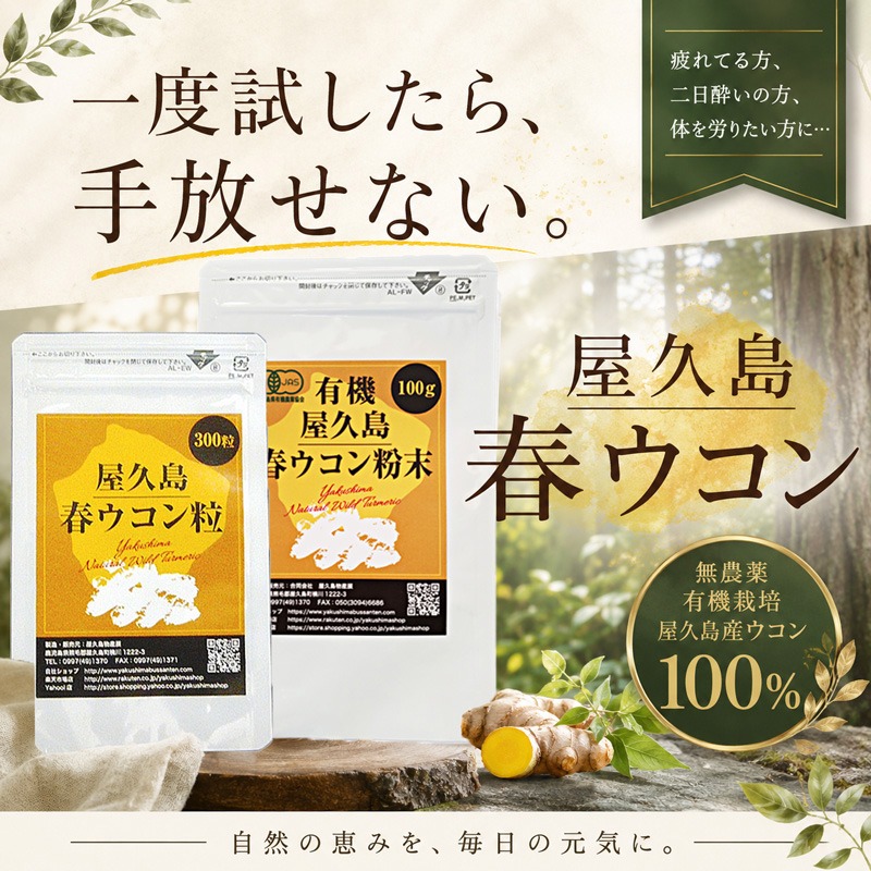 春ウコン