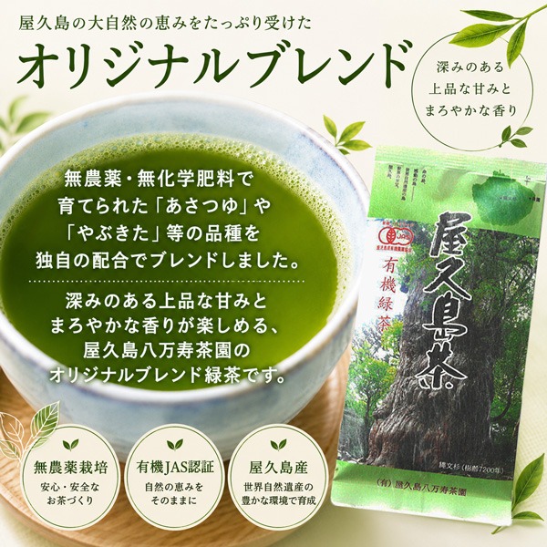 無農薬・有機栽培の屋久島茶を産地直送 ＜ 屋久島物産展（春ウコンや