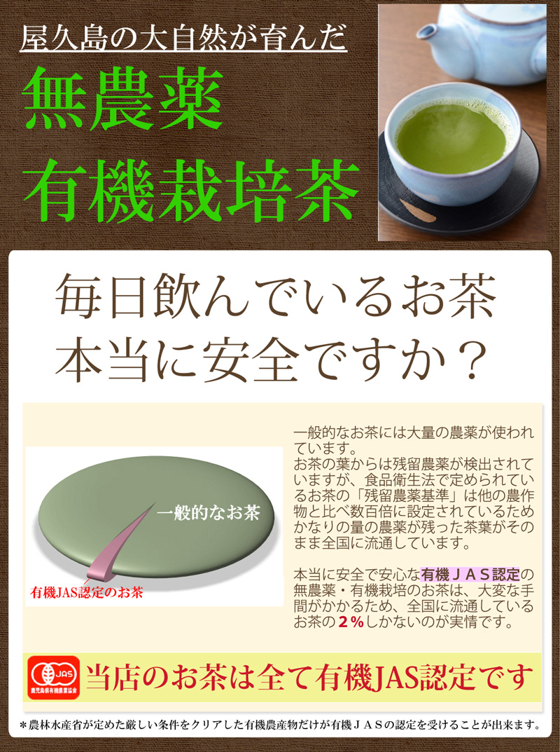 縄文の精 微粉末緑茶 50g [M便 1]