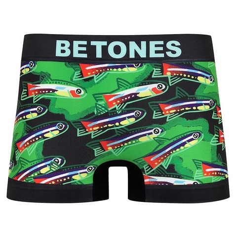 【BETONES】NEON TETRA