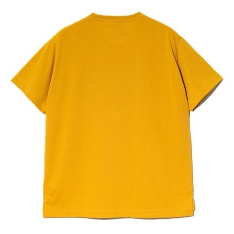 【go slow caravan】Drymix 山LOGO TEE