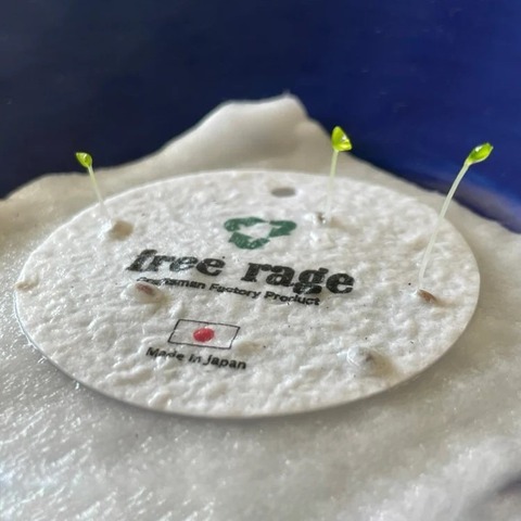 【FREE RAGE】”Gyoza Boy vol.2” リサイクルコットンTee