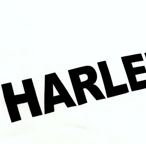 【HARLEM BLUES】HB BIG LOGO L/S TEE