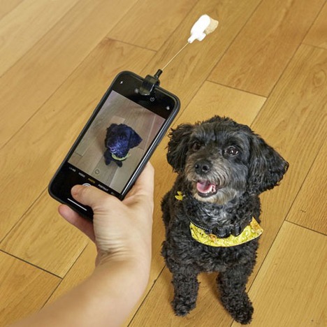 【KIKKERLAND】Dog Treat Selfie Clip
