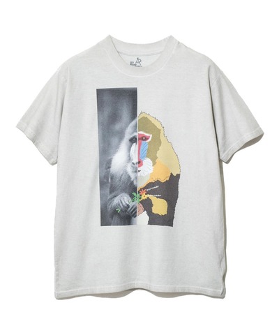 【go slow caravan】マンドリル PIGMENT BIO UNEVEN DYE TEE