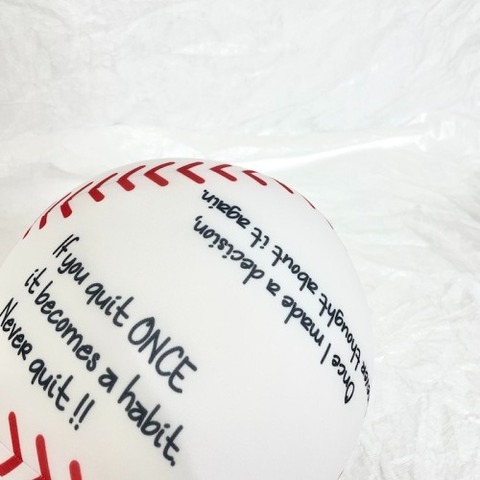 【THE PARK SHOP】 PLAYBALL CUSHION　