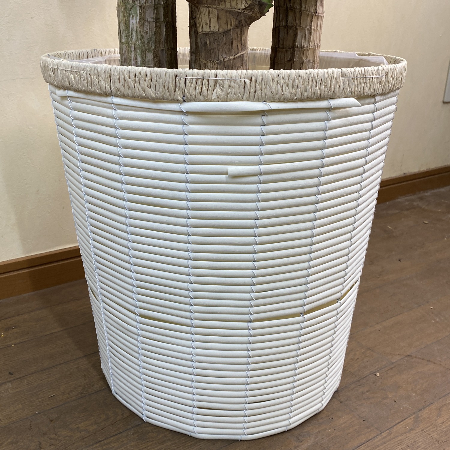 ホワイト鉢カバーの画像