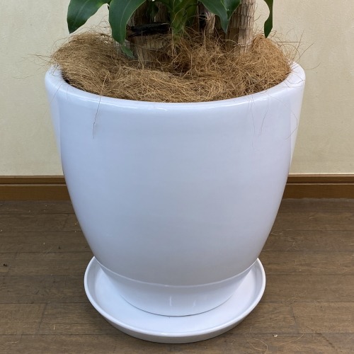 鉢皿付き陶器鉢W15の画像