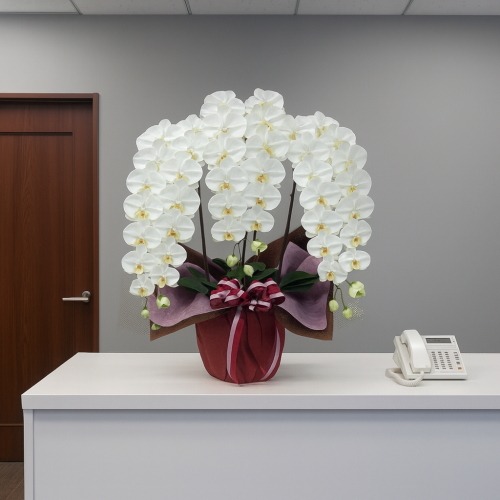 光触媒 造花 胡蝶蘭 特大輪 白 3本立ち | 移転祝い 開店祝い