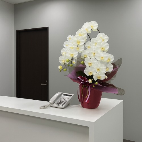 白い胡蝶蘭 造花 光触媒 造花 胡蝶蘭 ラージ 白 3本立ち | 移転祝い 開店祝い