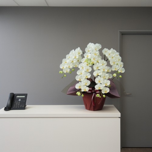光触媒 造花 胡蝶蘭 ラージ 白 5本立ち | 移転祝い 開店祝い