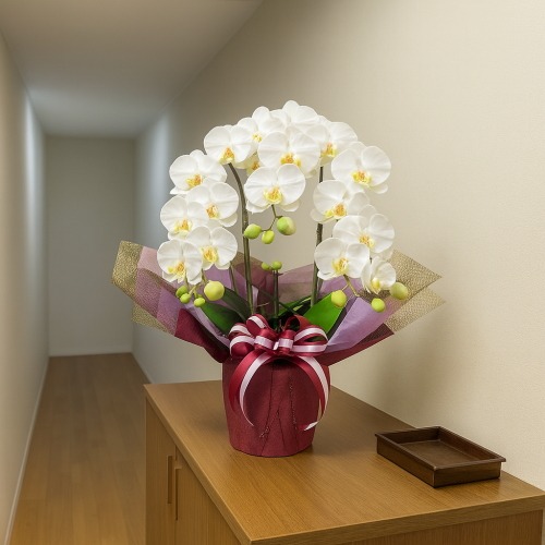 光触媒造花胡蝶蘭スタンダード3本立ち・ホワイトの設置イメージ画像（玄関）