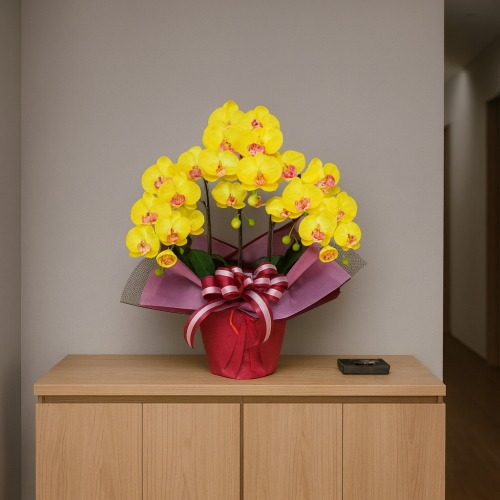 光触媒造花胡蝶蘭の設置イメージ画像（玄関）