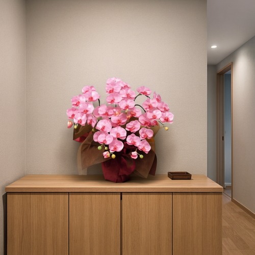 光触媒造花胡蝶蘭の設置イメージ画像（玄関）