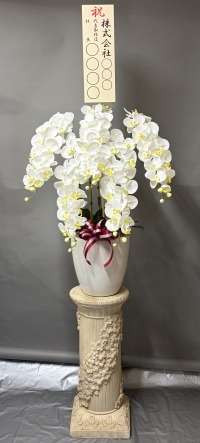 立札付きの光触媒造花胡蝶蘭type2・ラージ5本立ち・花台SPのイメージ画像