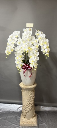 カード付きの光触媒造花胡蝶蘭type2・ラージ5本立ち・花台SPのイメージ画像