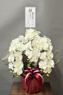 名札付きの光触媒造花胡蝶蘭type3・M3本立ちのイメージ画像