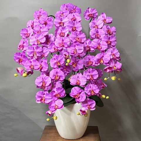 光触媒造花胡蝶蘭ラージ5本立ち（濃いピンク）W15Mの画像