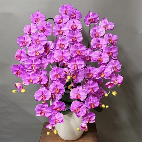 光触媒造花胡蝶蘭ｌ5本立ち（濃いピンク）W15M