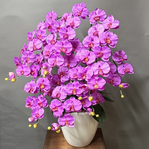 光触媒造花胡蝶蘭ｌ5本立ち（濃いピンク）W15Mの左斜め前