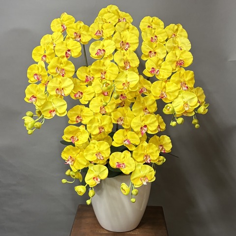光触媒造花胡蝶蘭ラージ5本立ち（イエロー）W15Mの画像