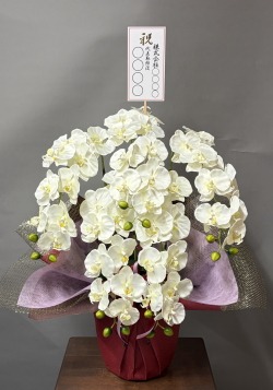 名札付きの光触媒造花胡蝶蘭(type3)M5本立ち(白)のイメージ画像