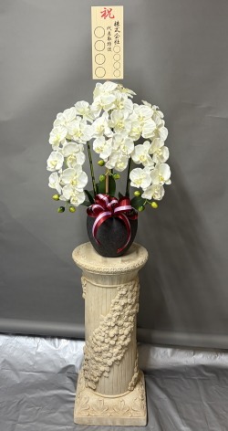 8寸立札付きの光触媒造花胡蝶蘭(type3)M3本立ち(白)・石柱タイプ花台付きのイメージ画像