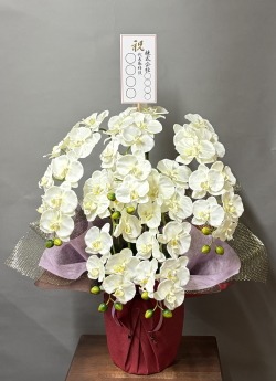 名札付きの光触媒造花胡蝶蘭(type3)M5本立ち(白)W27のイメージ画像